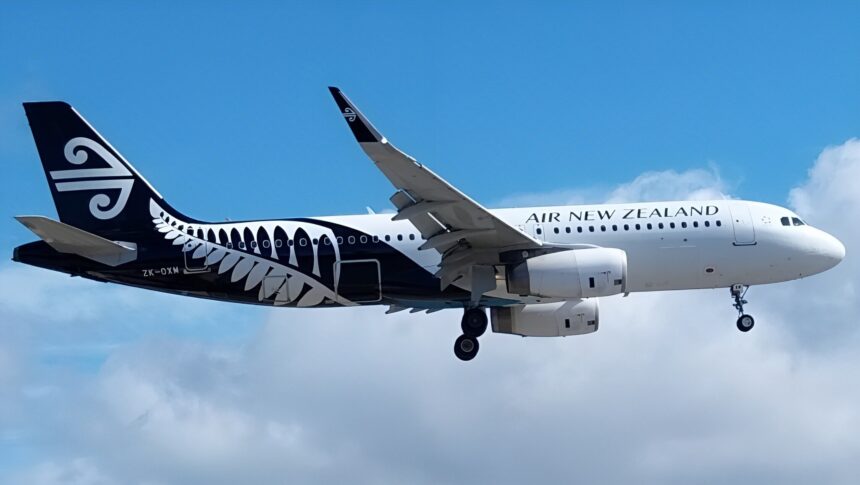 An Air New Zealand plane in the sky with landing gear out. The plane is half black, half white, with a black and white illustration of a fern on the back end of the aircraft.