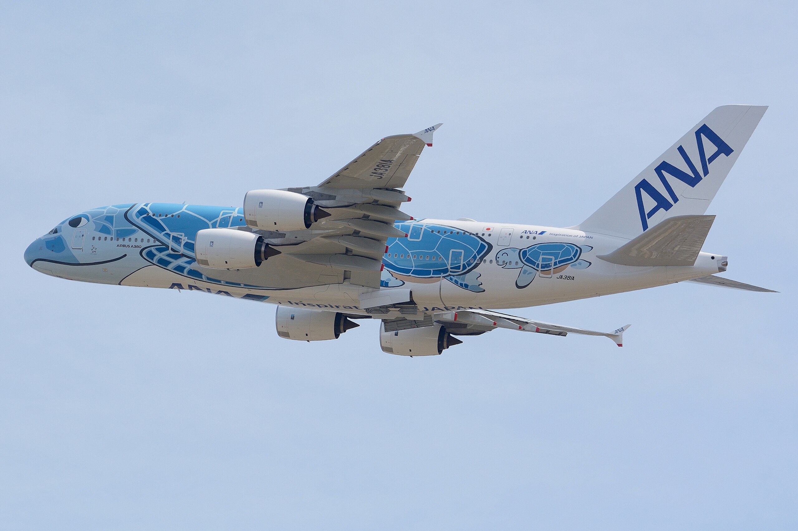 ANA Airbus A380-800 in flight.