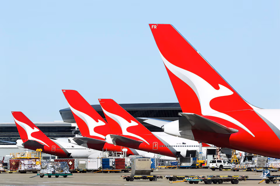 The tail ends of a fleet of Qantas aircraft lined up