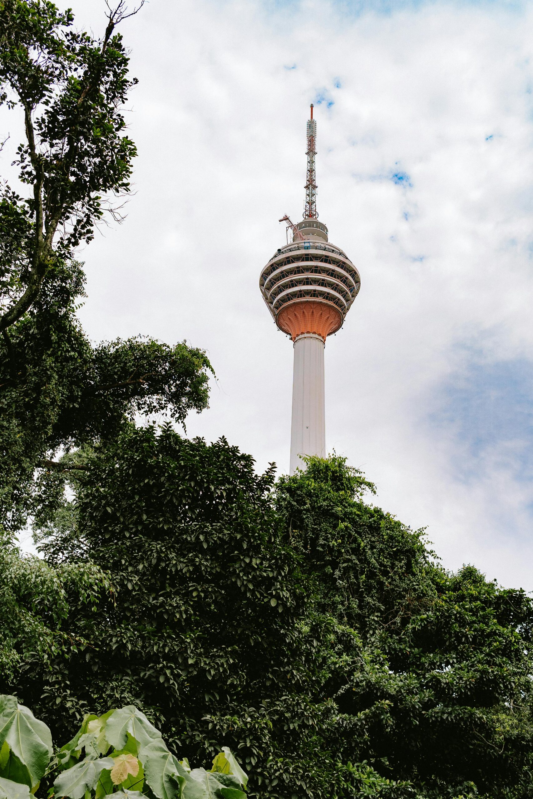 Kuala Lumpur Tower Behind Trees in Malaysia