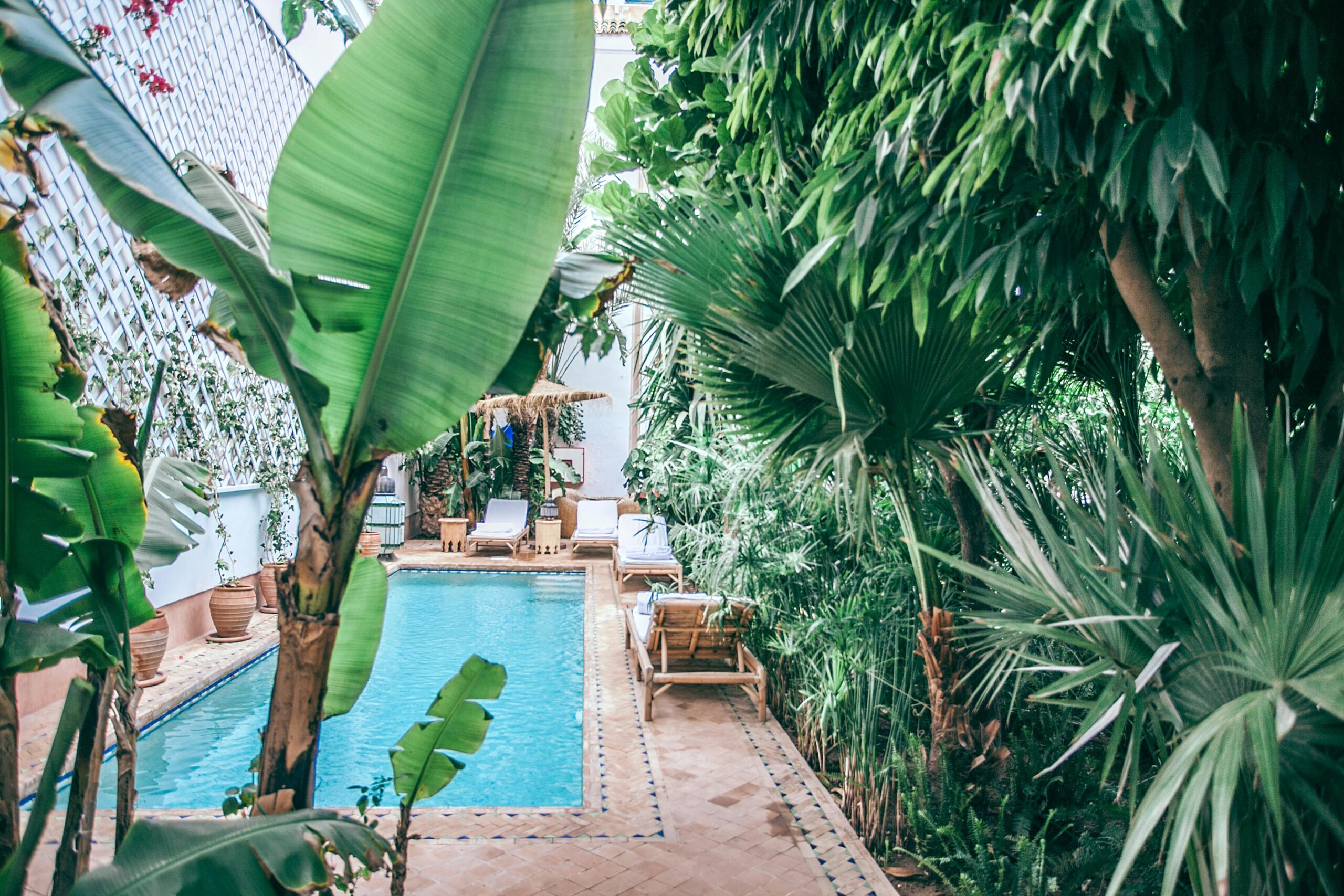 Exotic plants growing in patio at resort with a pool 