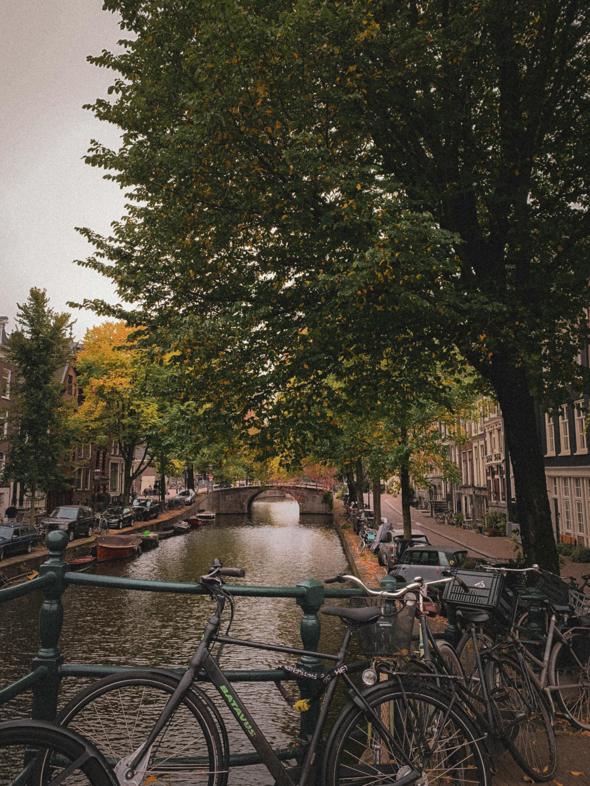 Scenic Amsterdam Canal View with Bicycles in Autumn