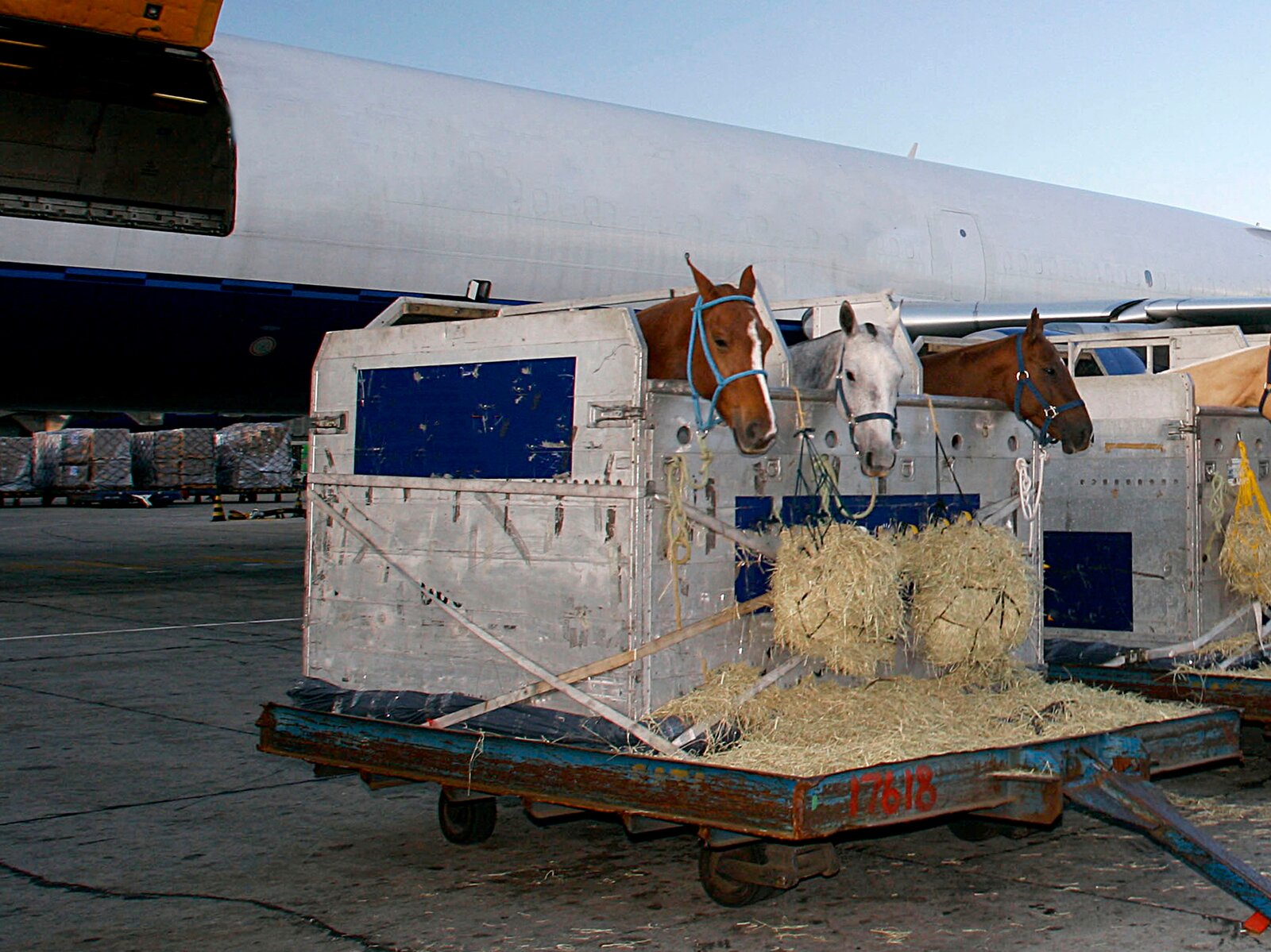 Inside Aviation’s Quiet Revolution in Special Cargo