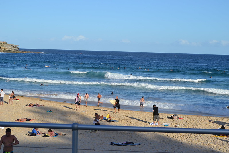 Busy beach in near Sydney Australia. People sunbathing on the sand and people swimming in the sea.