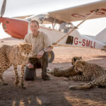A man crouching beside cheetahs, with a light aircraft in the background.