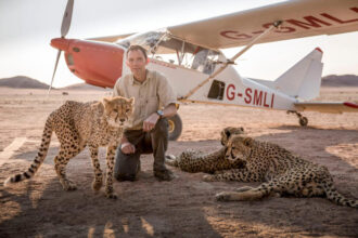A man crouching beside cheetahs, with a light aircraft in the background.