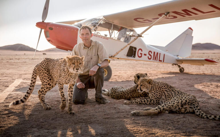 A man crouching beside cheetahs, with a light aircraft in the background.