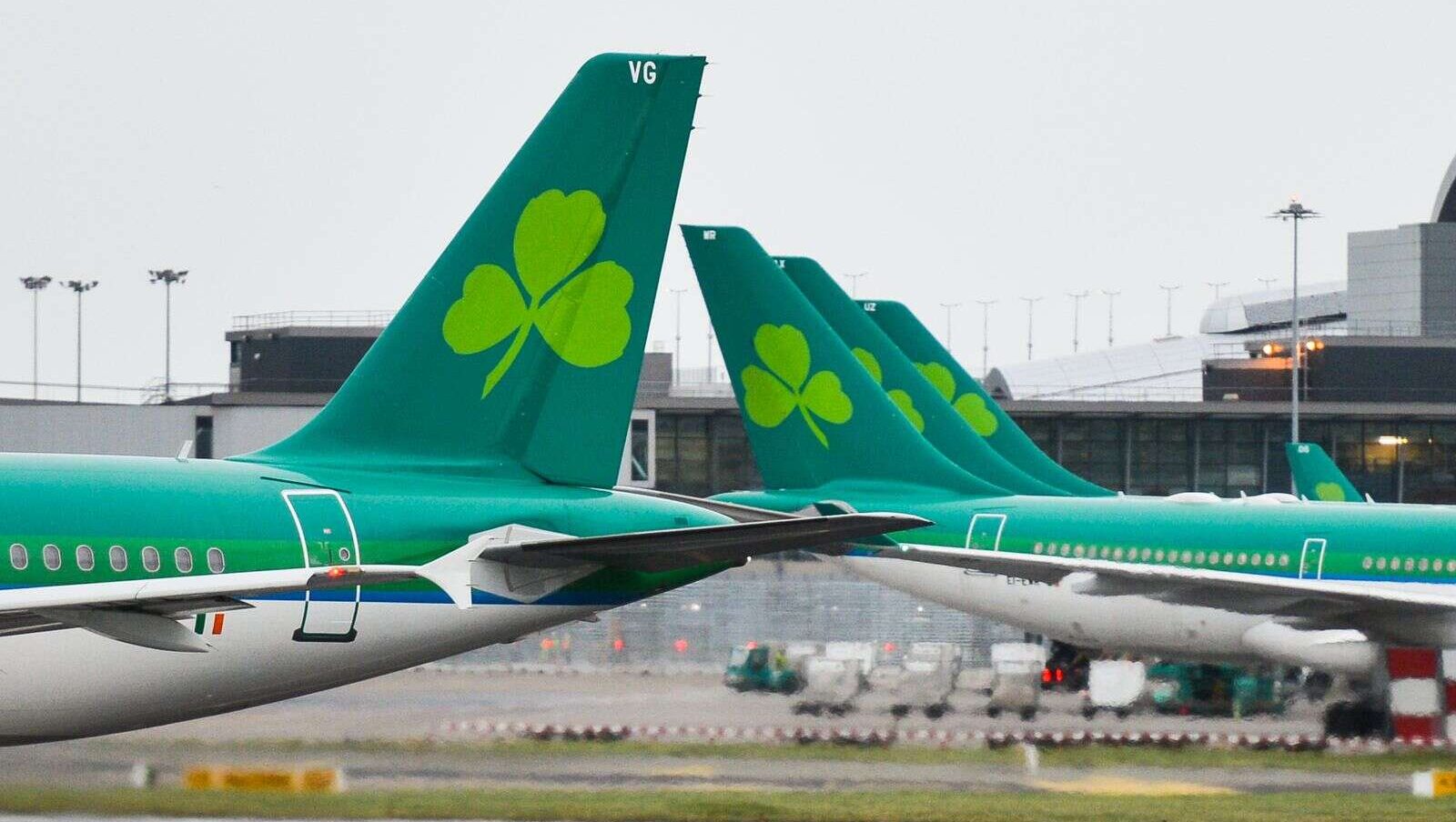 A close-up of Aer Lingus’s tail, featuring the iconic shamrock logo