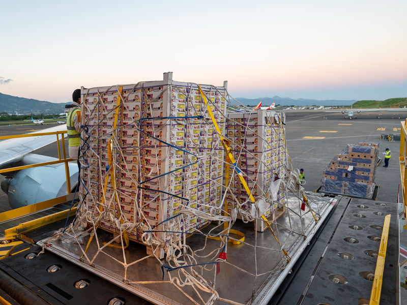 Air cargo is loaded onto an aircraft