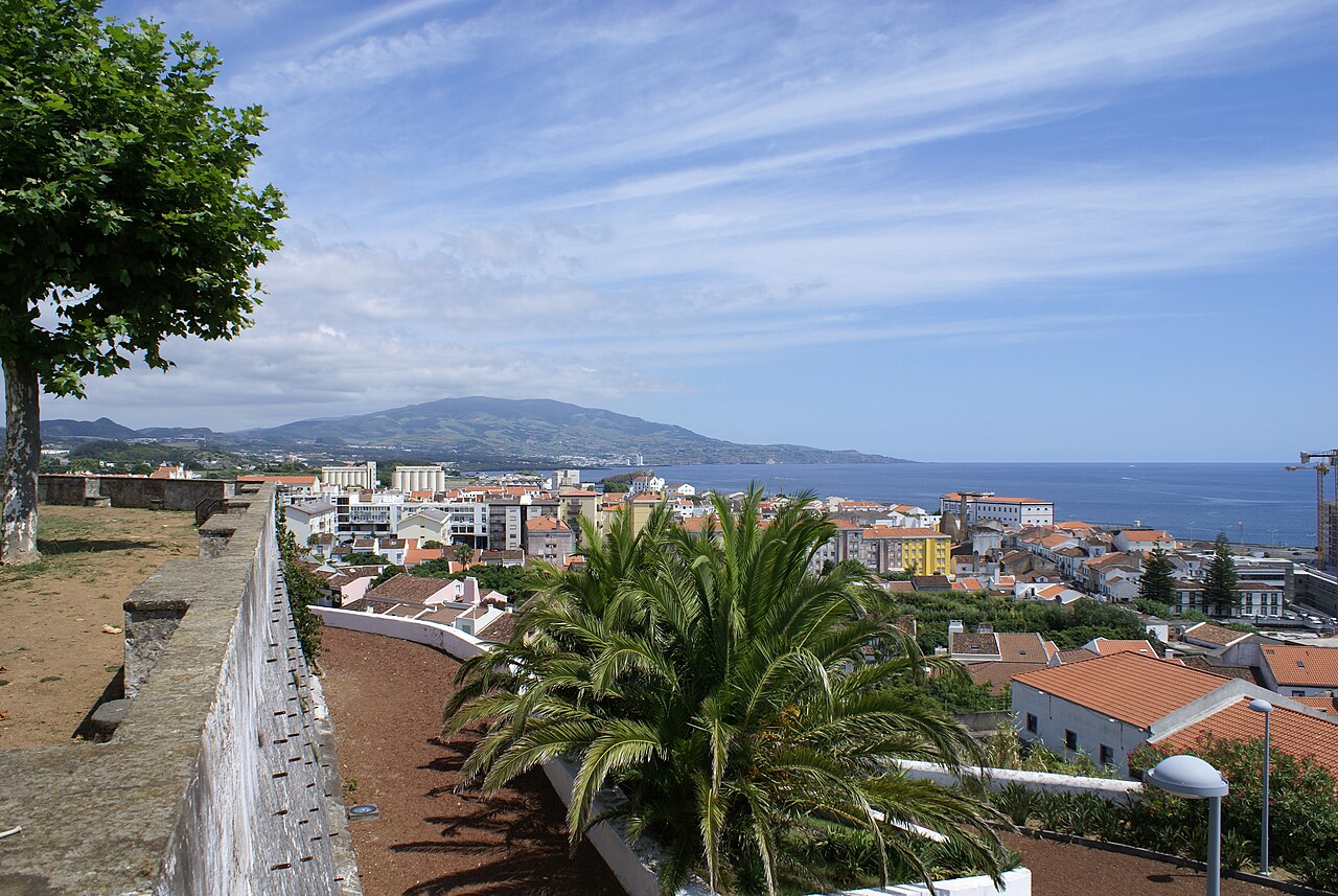 A view of Ponta Delgada, with brown-rooved apartment buildings surrounded by palm trees and water.
