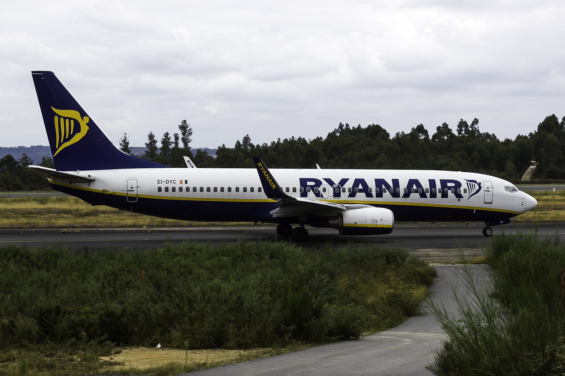 The image depicts a Ryanair plane on the ground at an airport. The picture is taken parallel to the aircraft, which runs along the whole centre of the image, the tail on the left and the nose on the right. The body of the aircraft is white with dark blue Ryanair branding on the side towards the front, before the wing. The tail is the same dark blue with the yellow logo on it. the foreground shows grass, a bush, and tarmac. The tarmac runway is visible beneath the plane. The background of the image shows hedges and a cloudy sky. 