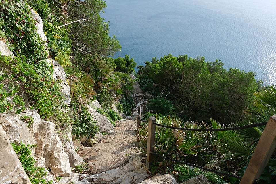Narrow stone path with steps and a rope handrail winding down a rocky, green hillside toward calm blue sea