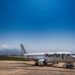 AerFin plane on runway