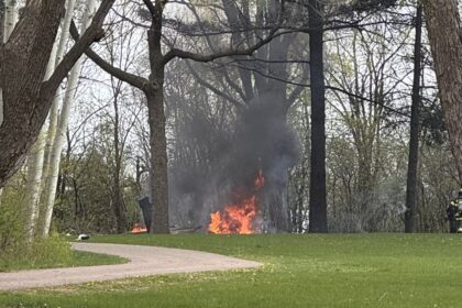 A field with trees and a path on the left side. In the middle there's a fire where the crash occurred, black smoke up in the air above.