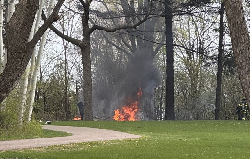A field with trees and a path on the left side. In the middle there's a fire where the crash occurred, black smoke up in the air above.