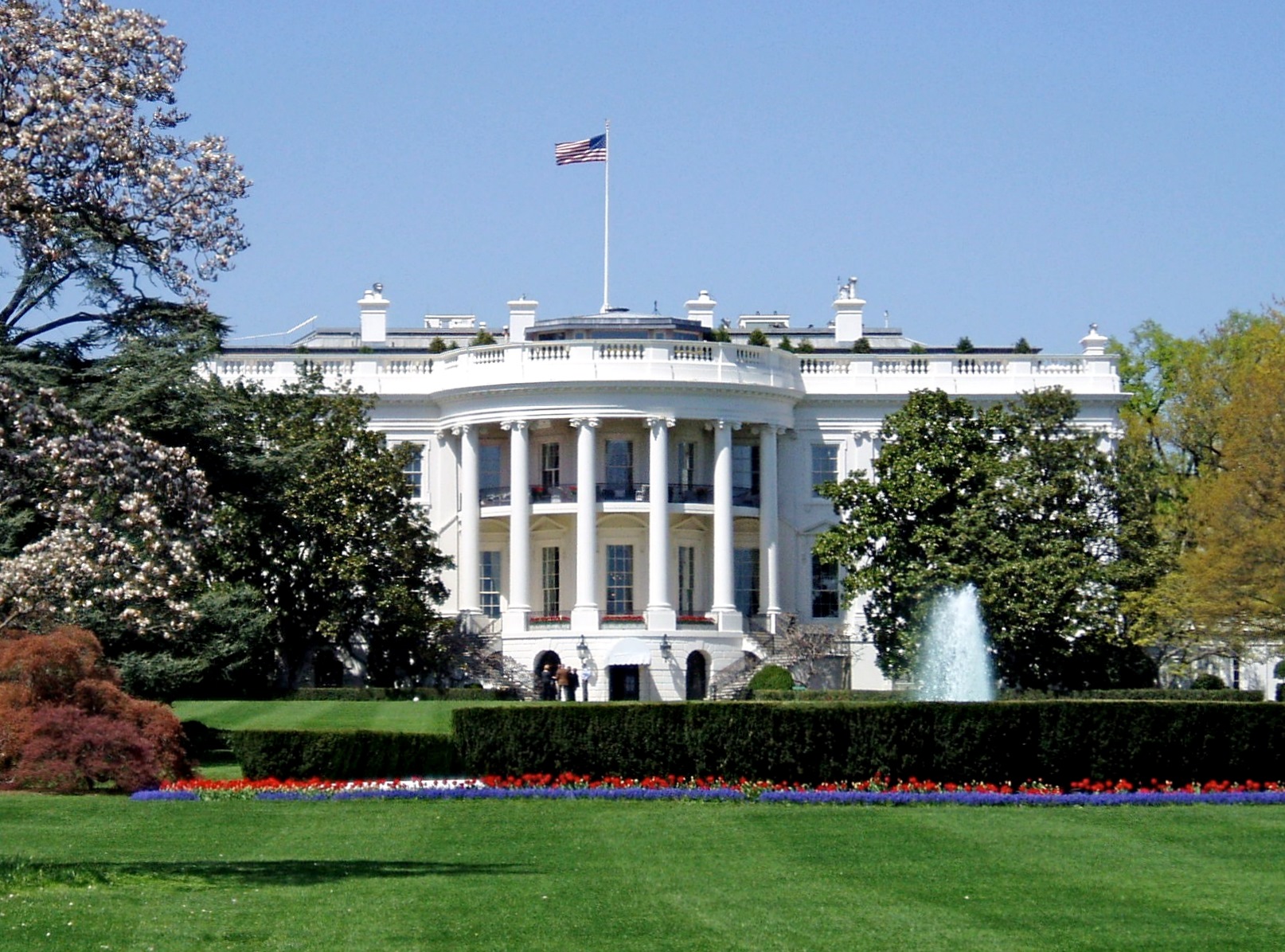 The image depicts the outside south-facing section of the White House on a sunny day. The White House is positioned in the centre of the image, with a bright green lawn and flower bed in front at the bottom, and a blue sky in the background at the top. On both sides are trees, hedges and florals adorning the building's front. 