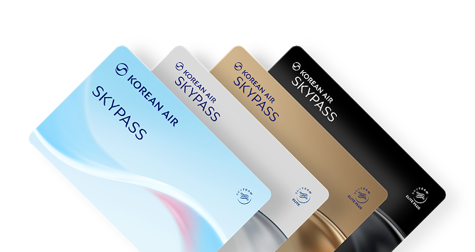 The various SKYPASS options