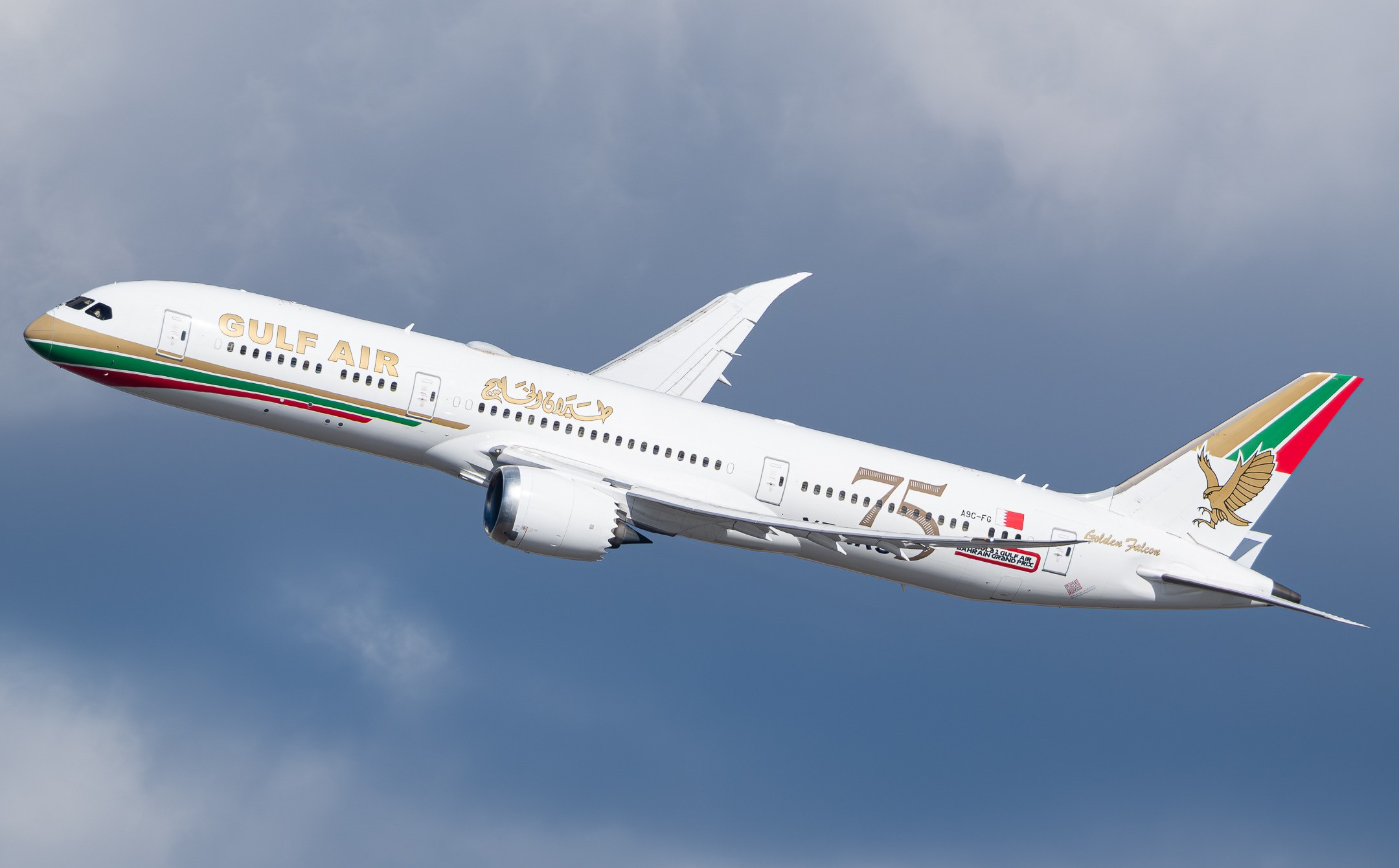 A Gulf Air Boeing 787 Dreamliner aircraft sporting its 75th anniversary livery spotted near JFK airport, New York captured during takeoff.