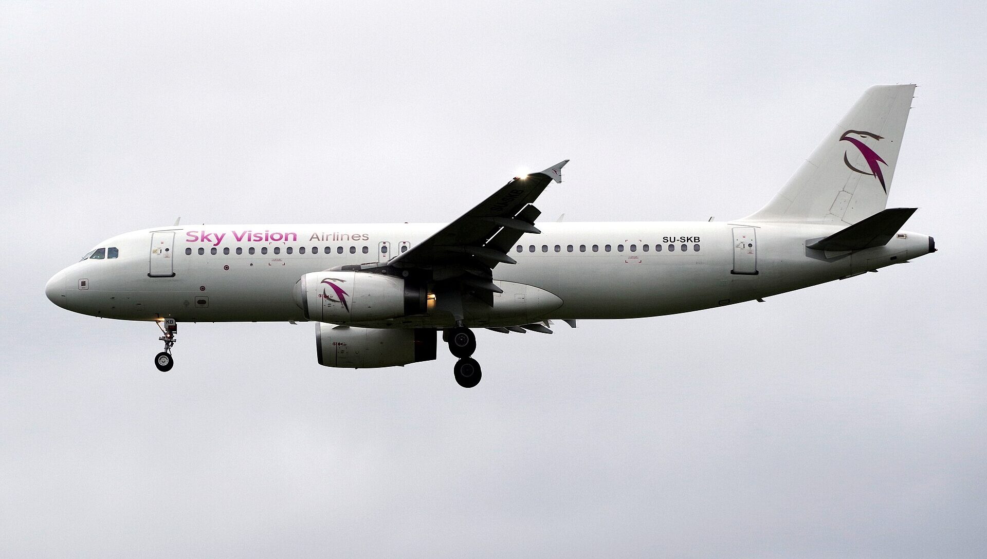 Sky Vision Airlines Airbus A320-232 flying through a cloudy sky. The aircraft's landing gear is out. White and purple livery.