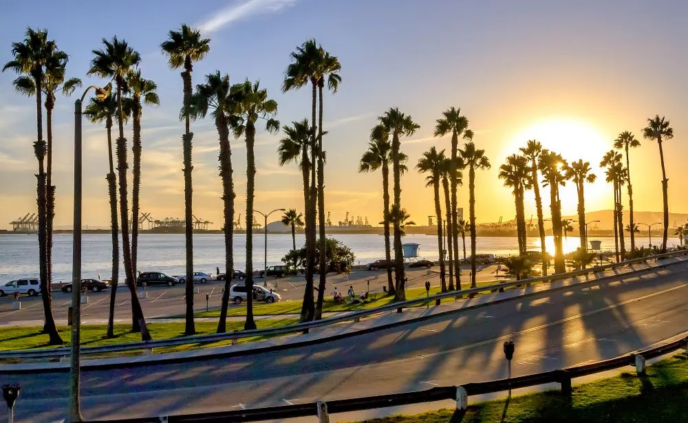 sunset view over the waterfront at Long Beach California with palm trees lining the waterside