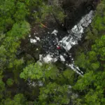 The crash site of the pickleball players plane. White aircraft smashed up between lots of trees.