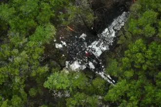 The crash site of the pickleball players plane. White aircraft smashed up between lots of trees.