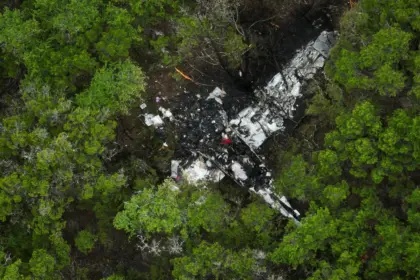 The crash site of the pickleball players plane. White aircraft smashed up between lots of trees.