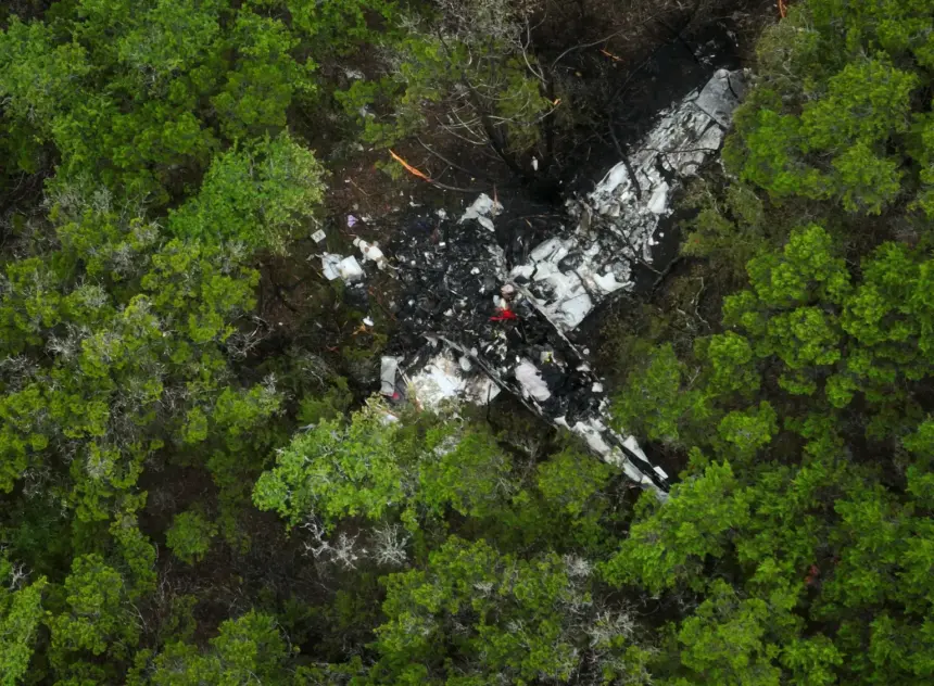 The crash site of the pickleball players plane. White aircraft smashed up between lots of trees.
