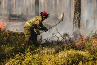 Forest fire, trees all around with a fire toward the left side. Smoke all around a firefighter trying to distinguish the fire.