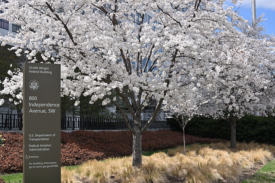 A dark sign for the Orville Wright Federal Building (U.S. Department of Transportation and Federal Aviation Administration headquarters) at 800 Independence Avenue, SW, stands in the foreground beside several large cherry blossom trees in full white bloom, with the modern building visible in the background under a blue sky.