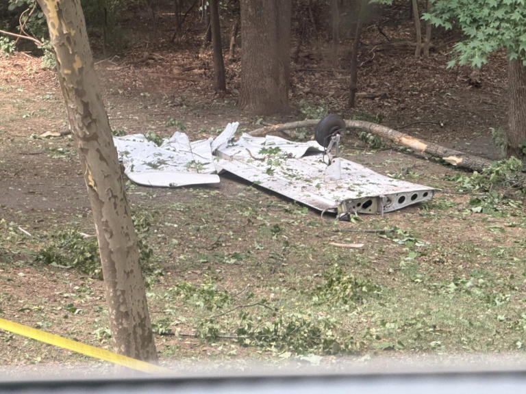 Image shows debris from a crashed plane on the ground in daytime in a wooded area of Bowie on June 21, 2026