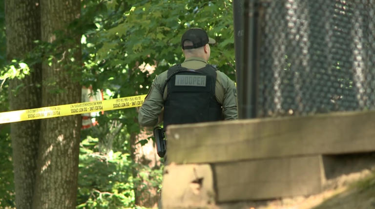 Image shows a woodland area in daytime with the back of a state trooper, trees and yellow police line in the background and blocks of wood and metal in the foreground