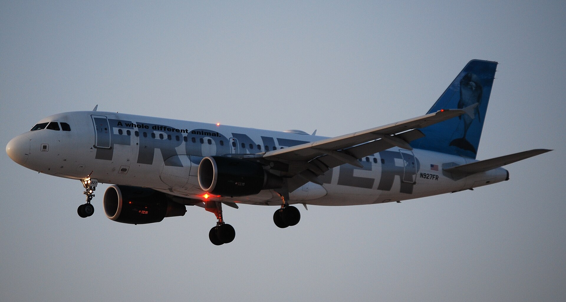 A Frontier plane coming in to land at an airport, with its landing gear out. Grey sky in the background. White and green livery.