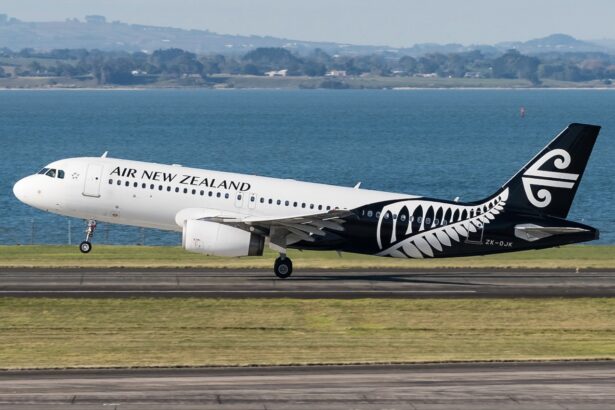 An Airbus A320-232 jet takes off from a runway in front of a grass verge and a lake.