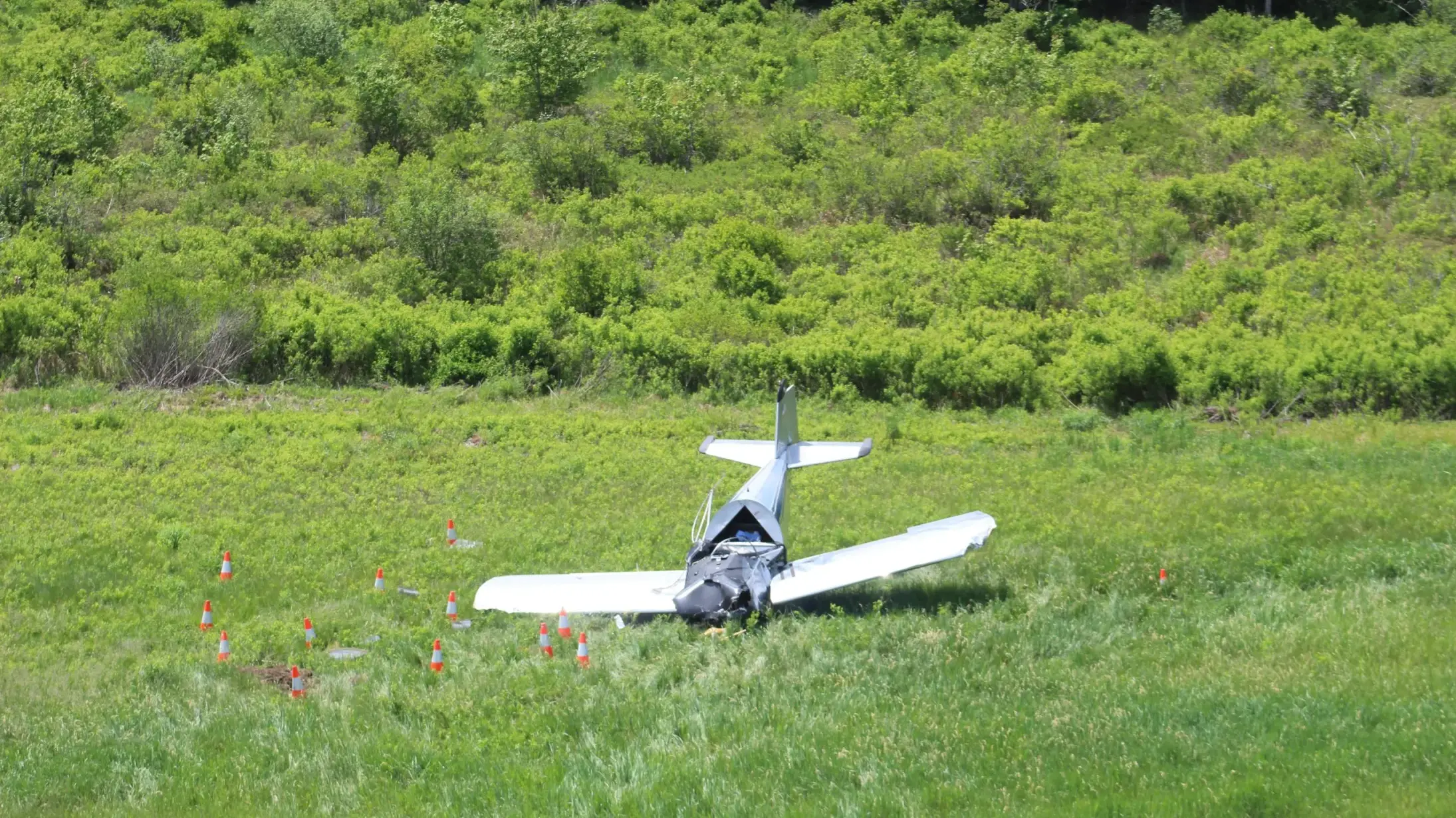 A white-plane crash site in an open field. The cockpit is crushed, but no smoke. Grass all around and trees in the background.