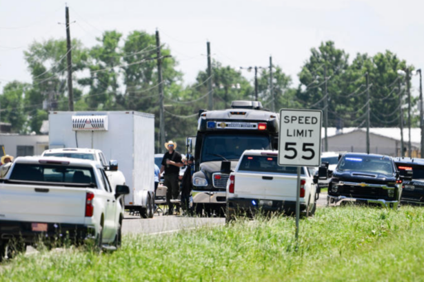 Several white and black vehicles parked on a road with trees and electricity poles in the background