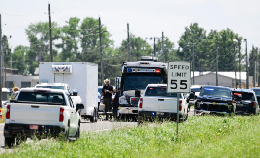 Several white and black vehicles parked on a road with trees and electricity poles in the background