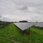The photo depicts a grey cloudy day with solar panels lined up faced towards the sky. The grass is a lush green and trees are gathered in the distance.
