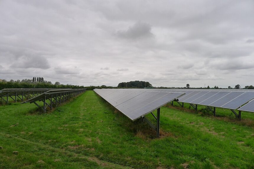 The photo depicts a grey cloudy day with solar panels lined up faced towards the sky. The grass is a lush green and trees are gathered in the distance.