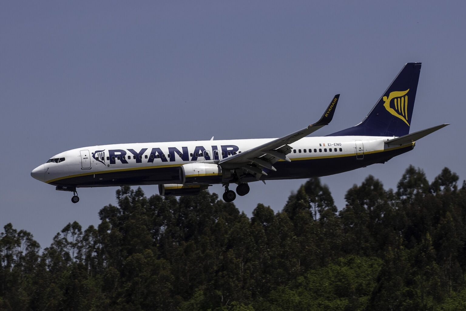 A Ryanair plane is pictured in flight. The aircrfat has the customary company branding across the side of the fuselage and tail in navy blue and yellow-gold. The jet's underbelly is also navy blue. The nose is facing left and the tail is on the right. In the background of the image is a clear blue sky.