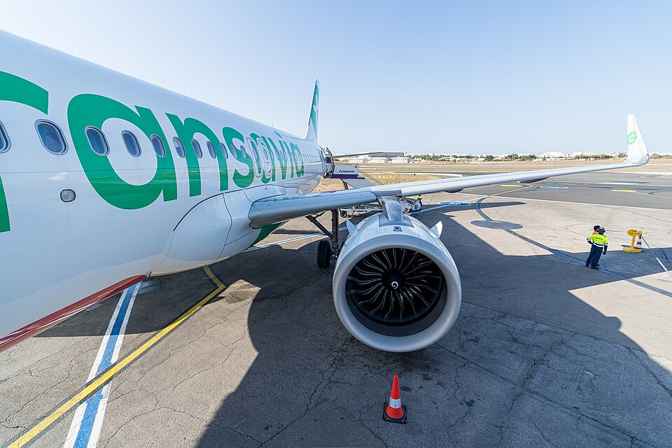 A low-angle, close-up view of a Transavia Boeing 737 parked on an airport tarmac. The image is taken with a wide-angle lens, emphasizing the large turbofan engine and the wing with a winglet extending towards a clear blue sky. The fuselage features large green lettering, and a ground crew member in a yellow high-visibility vest stands near the landing gear. An orange safety cone is visible in the foreground on the concrete surface.