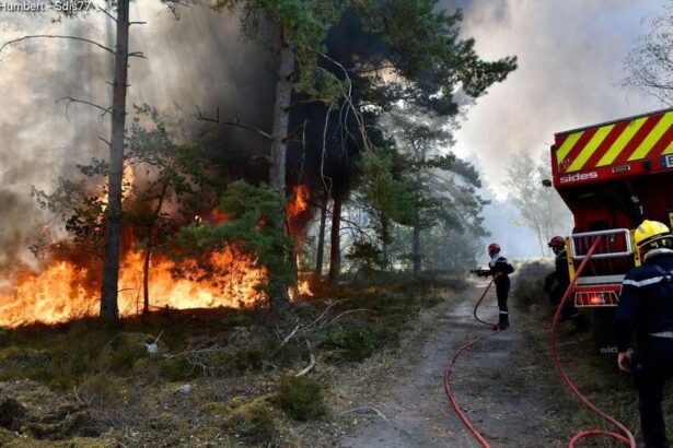 Smoke rises from the Fontainebleau forest as firefighters battle a major wildfire south of Paris