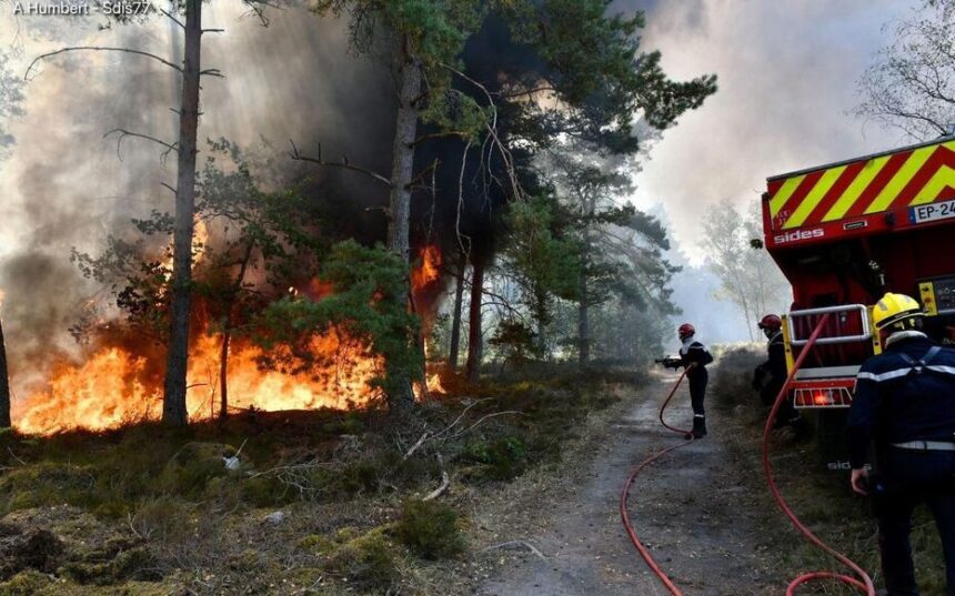 Smoke rises from the Fontainebleau forest as firefighters battle a major wildfire south of Paris