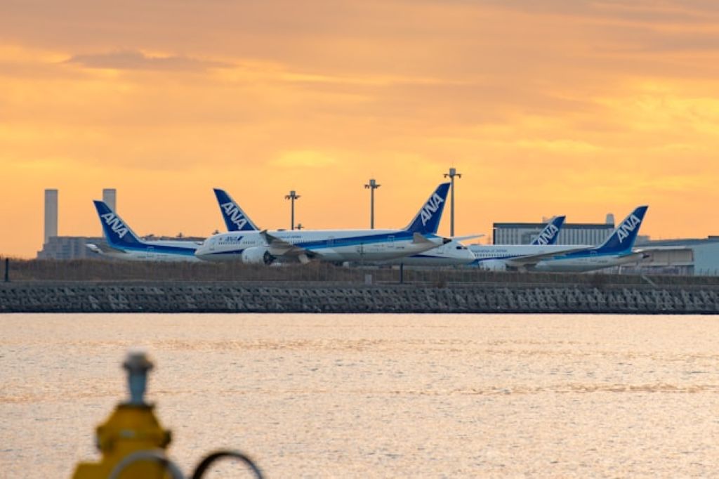 All Nippon Network airplanes parked on Tarmac at Haneda Airport behind a view of the Tokyo Bay water and a sunset in the background
