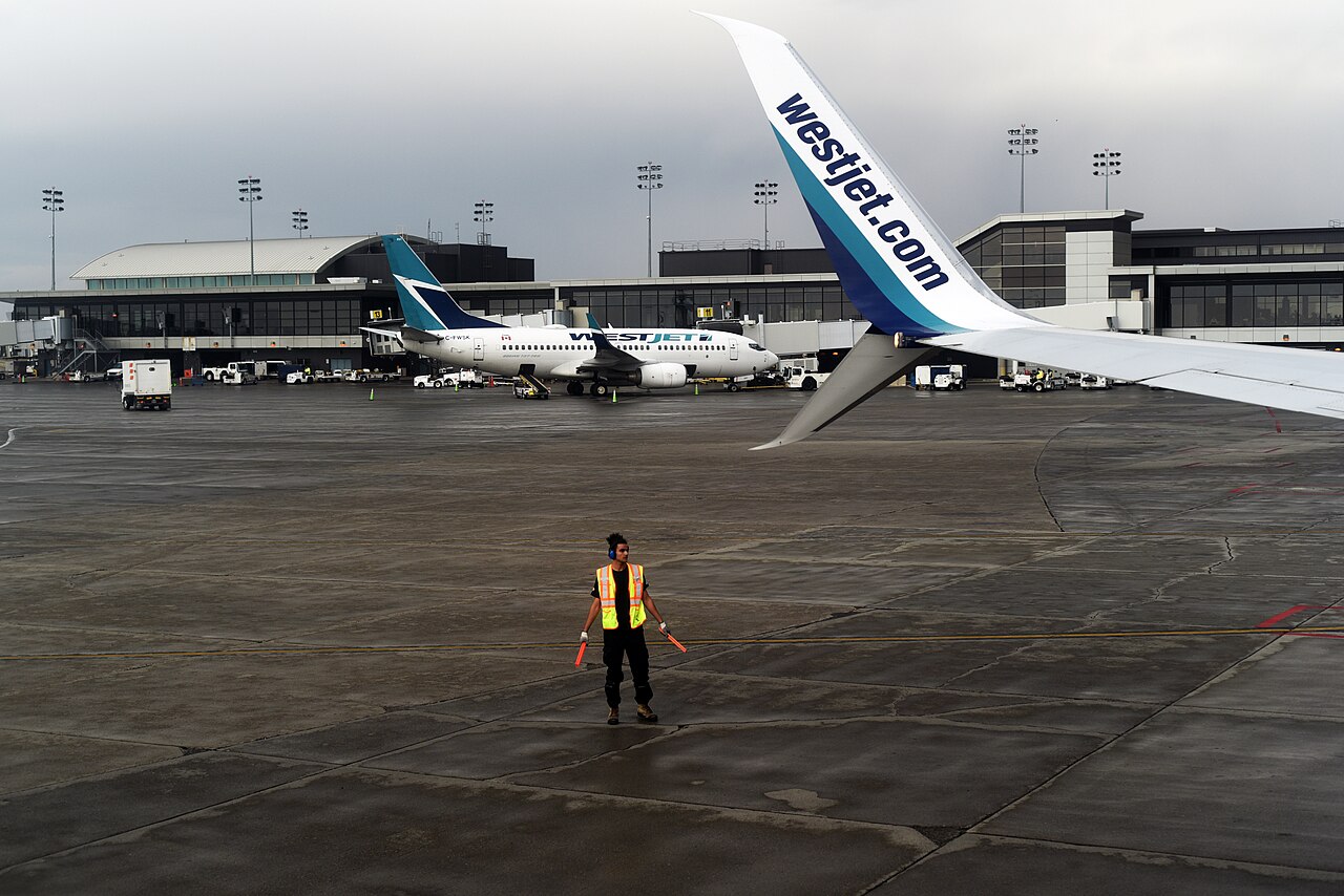 The photo depicts an aircraft marshal with a bright orange baton. He is stood beside a WestJet aircraft at Calgary International Airport during a grey day