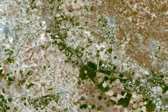 A patchwork of small green and brown shapes is in fact an image of fields and plains in central Spain as seen from above by the ESA-supported Deimos-1 satellite in Earth orbit.