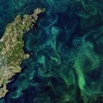 Phytoplankton form algae blooms – bright green swirls – in the Baltic Sea, next to the island of Gotland.
