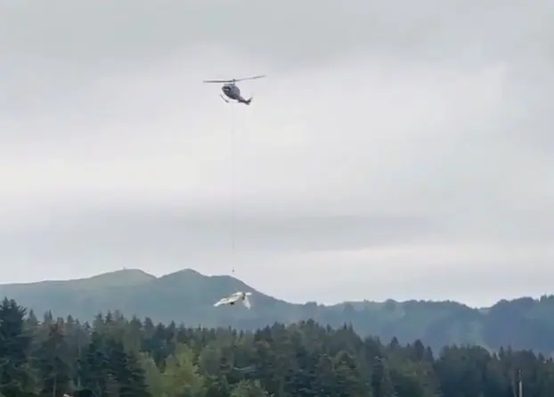 A helicopter is seen lifting the Piper PA-24-260 from the site of the crash over a forested Alaskan landscape.