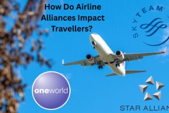 The logos of three airline alliances: Star alliance, SkyTeam, and Oneworld, superimposed on a picture of a plane flying upwards in front of a blue sky. There is a tree to the left of the image, and text saying “How Do Airline Alliances Impact Travellers?”