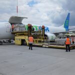Two people helping loading the cargo inside a SolitAir aircraft.